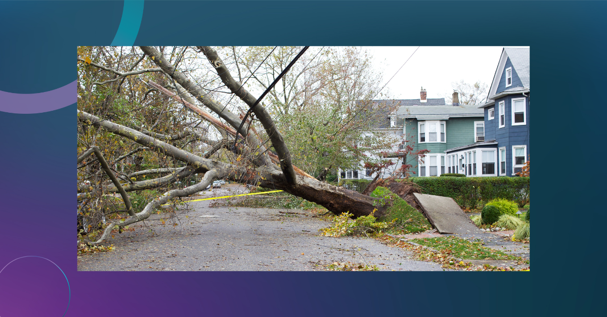 Storm Éowyn Becomes Costliest Weather Event in Irish Insurance History